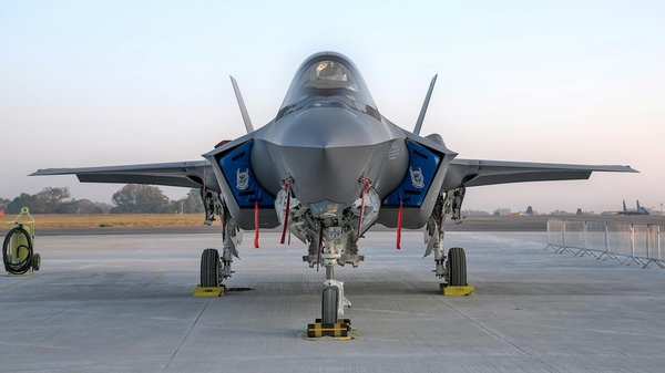 Essential botanicals to cultivate your perfect diy skincare garden in the uk